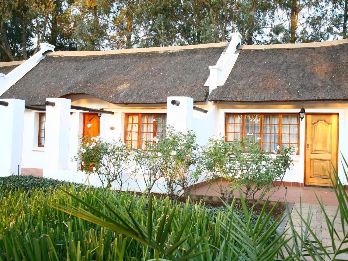Kievits Kroon Gauteng Wine Estate
