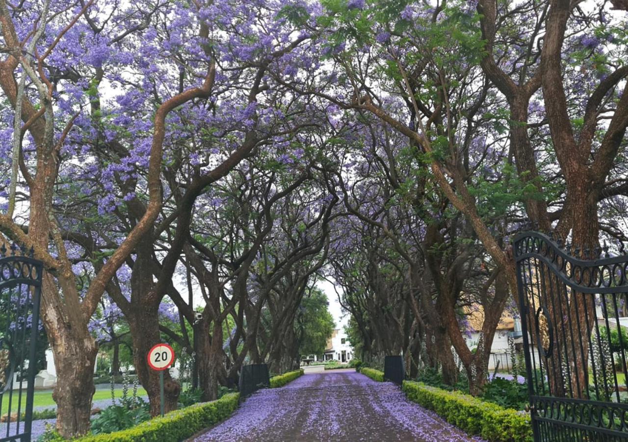 Kievits Kroon Gauteng Wine Estate 4* Pretoria
